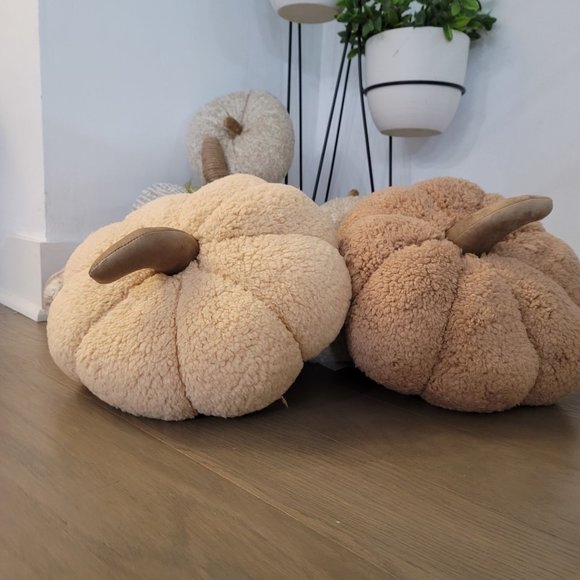 Warm and Cozy NWOT tan and cream plush pumpkin set pillow plush - Picture 8 of 9